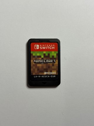Minecraft Nintendo Switch