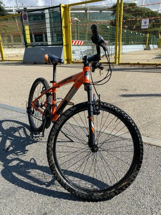 MTB Casadei Kuster 24.0 Alluminio