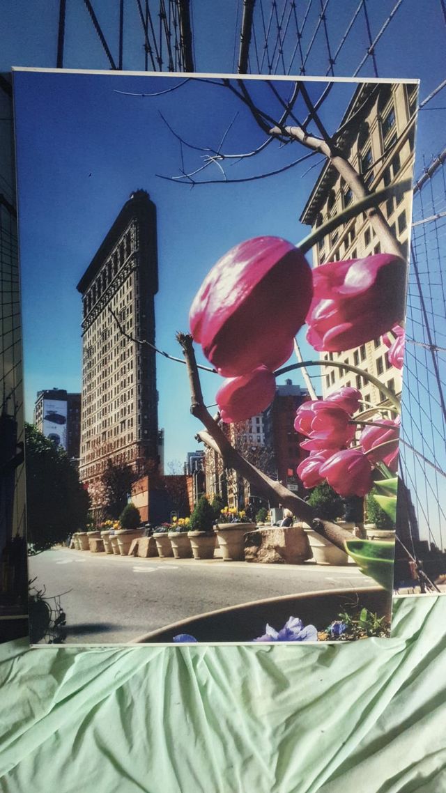 Tapiz Decorativo Paisaje Rural