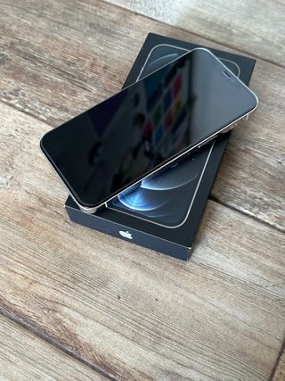 iPhone 12 Pro Max 256 GB