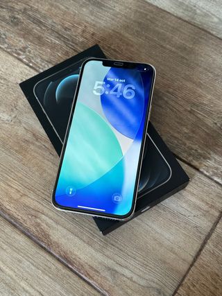 iPhone 12 Pro Max 256 GB
