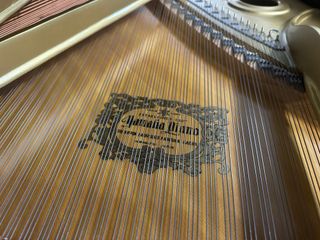 Yamaha C7 Cola Piano Reacondicionado