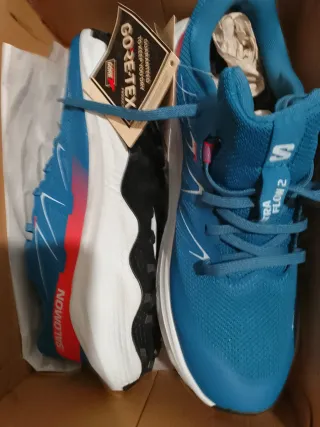 Salomon TRA FLOW 2 Zapatillas GORE-TEX Azul