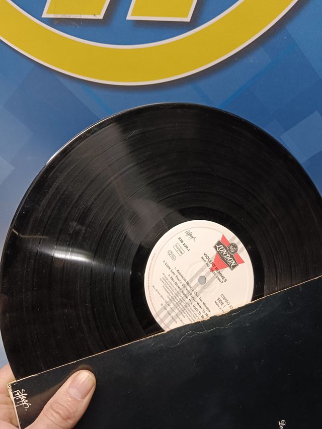 disco LP vinilo Violent Femmes – Why Do Birds Sing? LP, Album 1991, UK