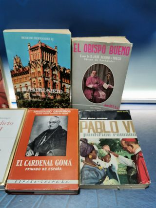 12 LIBROS ECLESIÁSTICOS, RELIGIÓN CATÓLICA, PABLO IV, EL AMOR SE APRENDE, DE JUAN PABLO I A JUAN PABLO II y mas