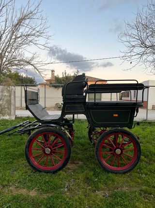 Jardinera Maratón Carro vagoneta