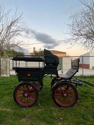 Jardinera Maratón Carro vagoneta