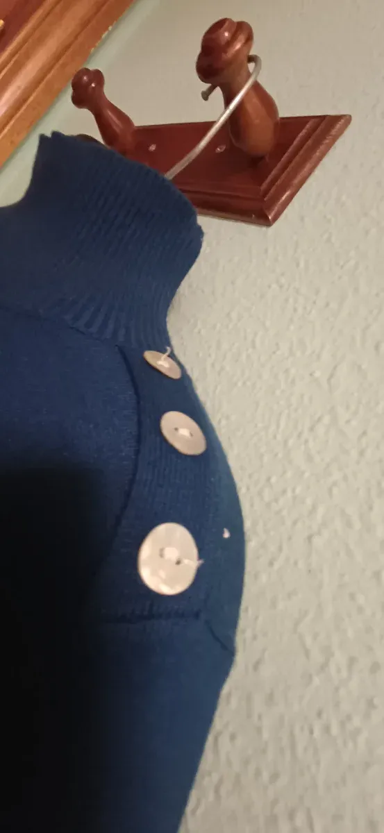 Jersey Javier Simorra azul talla M
Cuello alto.