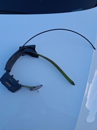 Se vende collar garmin t15