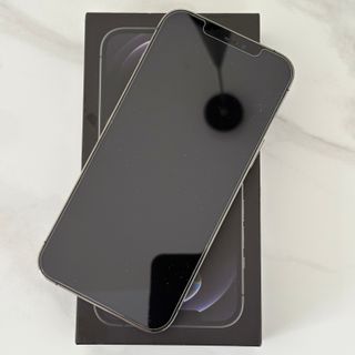 iPhone 12 Pro Max 256 GB Grigio siderale