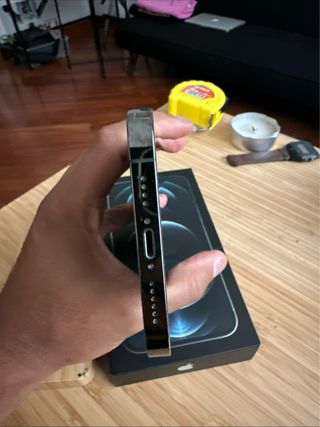 iPhone 12 Pro Max 256GB Argento