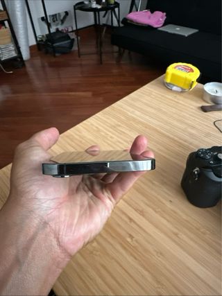 iPhone 12 Pro Max 256GB Grigio Siderale