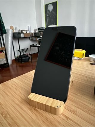 iPhone 12 Pro Max 256GB Grigio Siderale