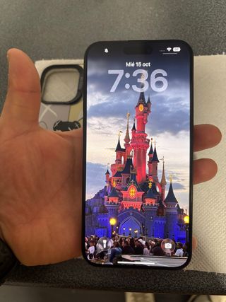 iPhone 15 Pro Max nero/argento