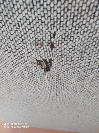 Cabecero de cama tapizado beige polipiel, leer anu