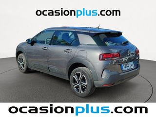 Citroen C4 Cactus PureTech 110 S&S Feel 81 kW (110 CV)