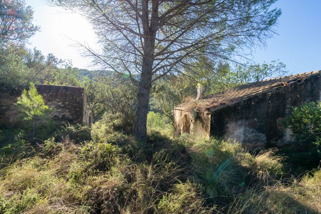 Finca rústica en lo alto de la montaña