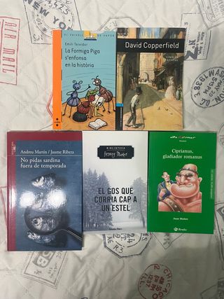 LIBROS PRIMARIA Y ADOLESCENTES
