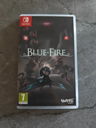 Blue Fire Nintendo Switch