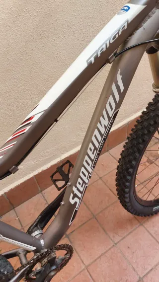 MTB Mountain Bike Steppenwolf Taglia M/26