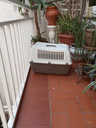 Transportín perro/gato buen estado