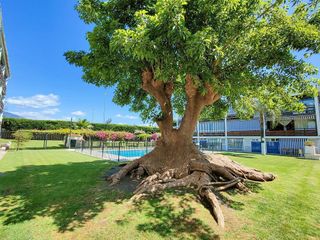 Ático en venta en Nueva Alcántara en Marbella