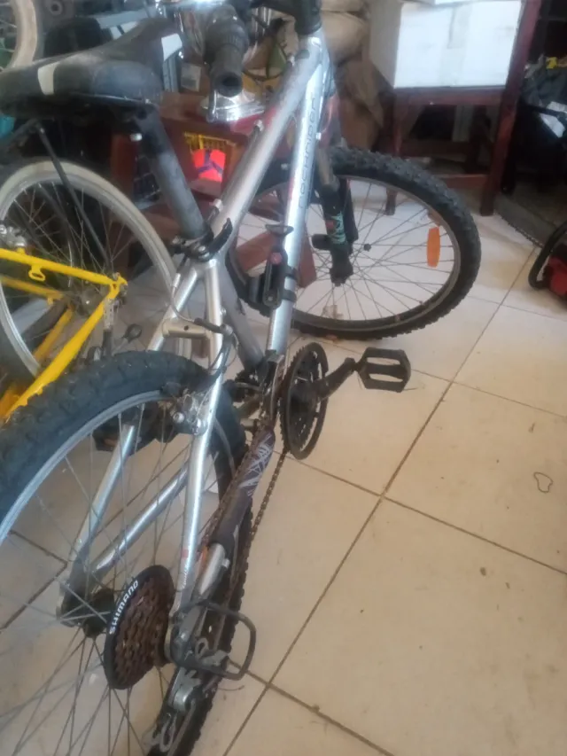 Bicicleta de montaña plateada