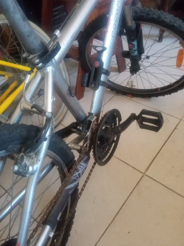 Bicicleta de montaña plateada