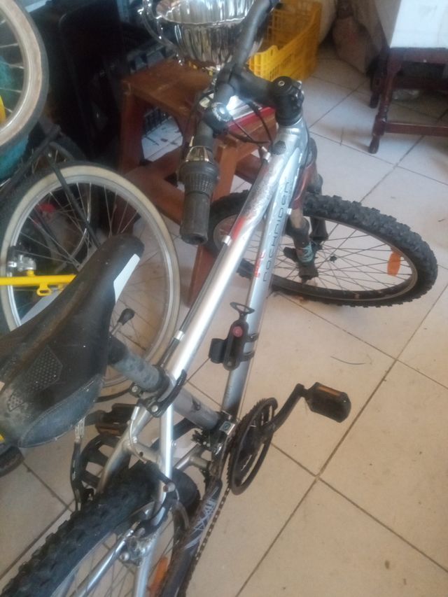 Bicicleta de montaña plateada