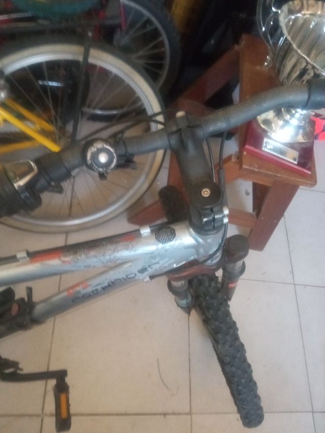 Bicicleta de montaña plateada