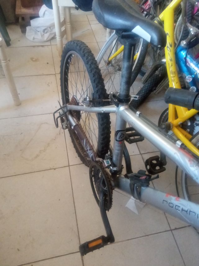 Bicicleta de montaña plateada