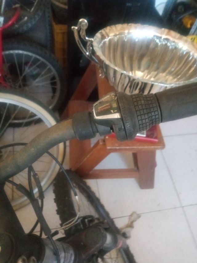 Bicicleta de montaña plateada