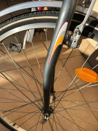 Bicicleta Zephyr City Road