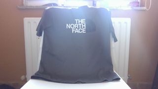 Camiseta The North Face Gris