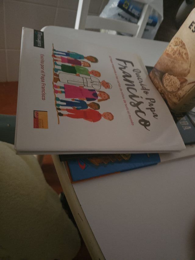 Querido Papa Francisco: El Papa responde a las ...