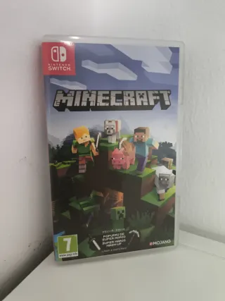 Minecraft Nintendo Switch