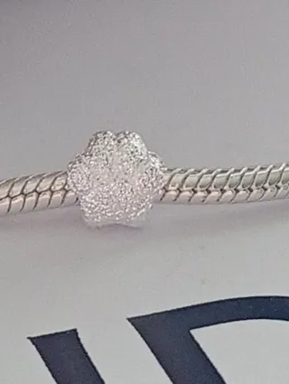 Ciondolo zampa glitterato argento