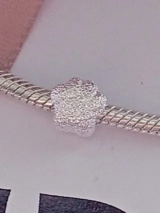 Ciondolo zampa glitterato argento