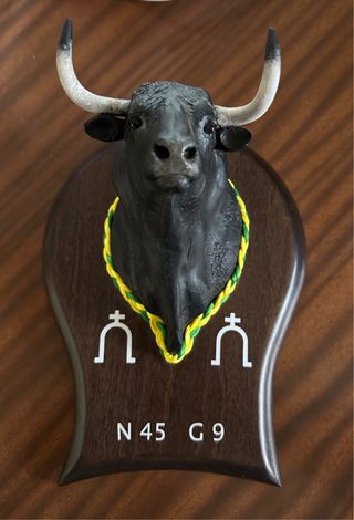 Cabecilla de Toro personalizada
