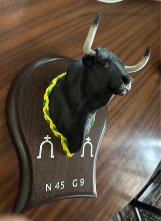 Cabecilla de Toro personalizada