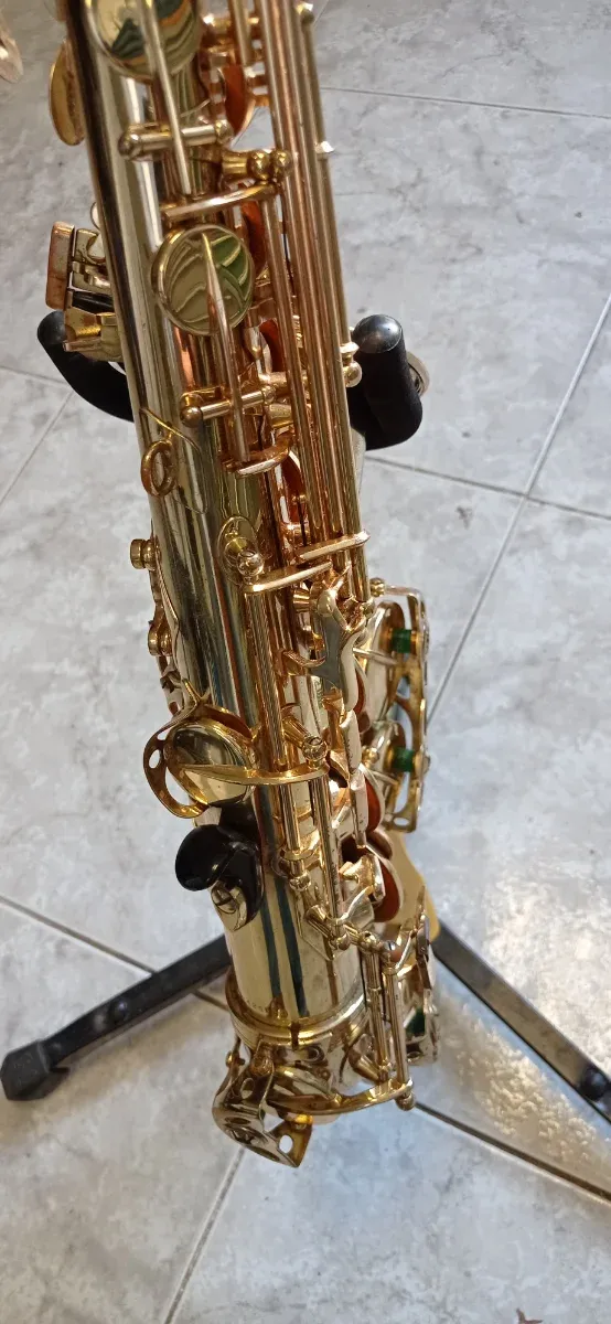 Funda Saxo Alto Selmer Super Action II Grabado