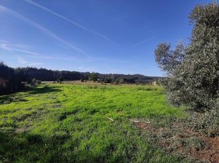 Terreno en venta en Cesuras