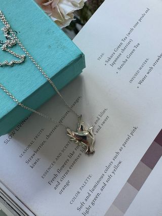 Collar Tiffany&Co Paloma Plata