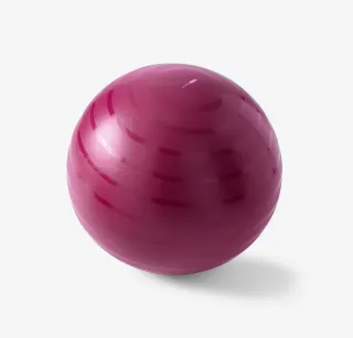 Pelota Pilates Fitball Talla M - 65 cm