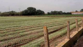 Terreno en venta en Sant Pau en Valencia