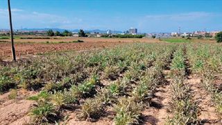 Terreno en venta en Sant Pau en Valencia