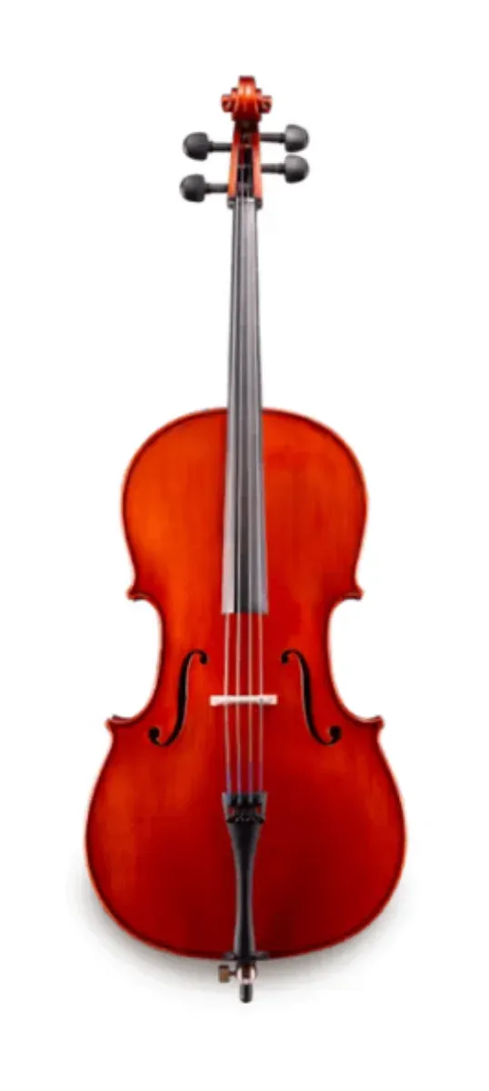 Violonchelo Eastman VC150SBC 4/4