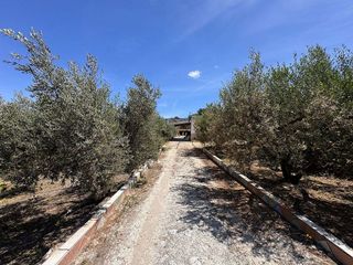Casa rural en venta en Benigánim
