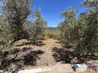 Casa rural en venta en Benigánim