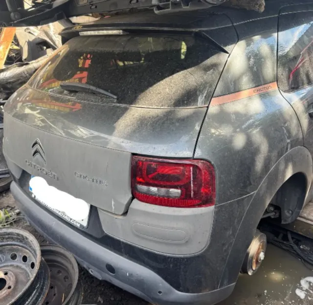 Despiece Citroen C4 Cactus